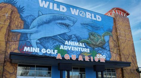 Wild world branson - Branson's Wild World: Pleasantly Surprised! - See 879 traveler reviews, 681 candid photos, and great deals for Branson, MO, at Tripadvisor.